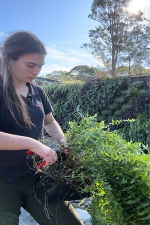 How TAFE NSW helped Olivia cultivate her passion for plants