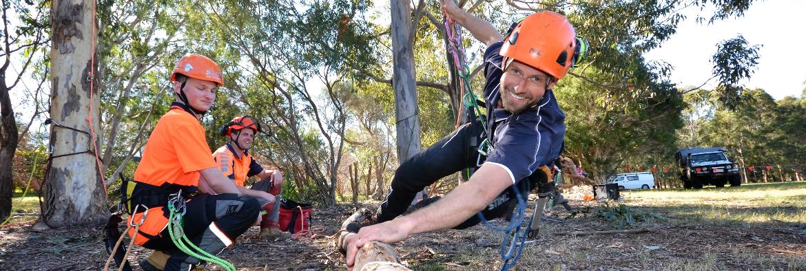 Climbing — Arboriculture Australia